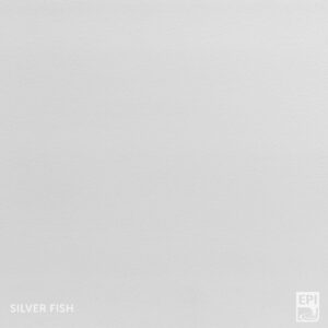 Corestone Nature Solid_Silver Fish